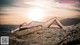 A woman in a bikini laying on a rock by the ocean.