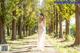 A woman in a white dress standing in the middle of a forest.